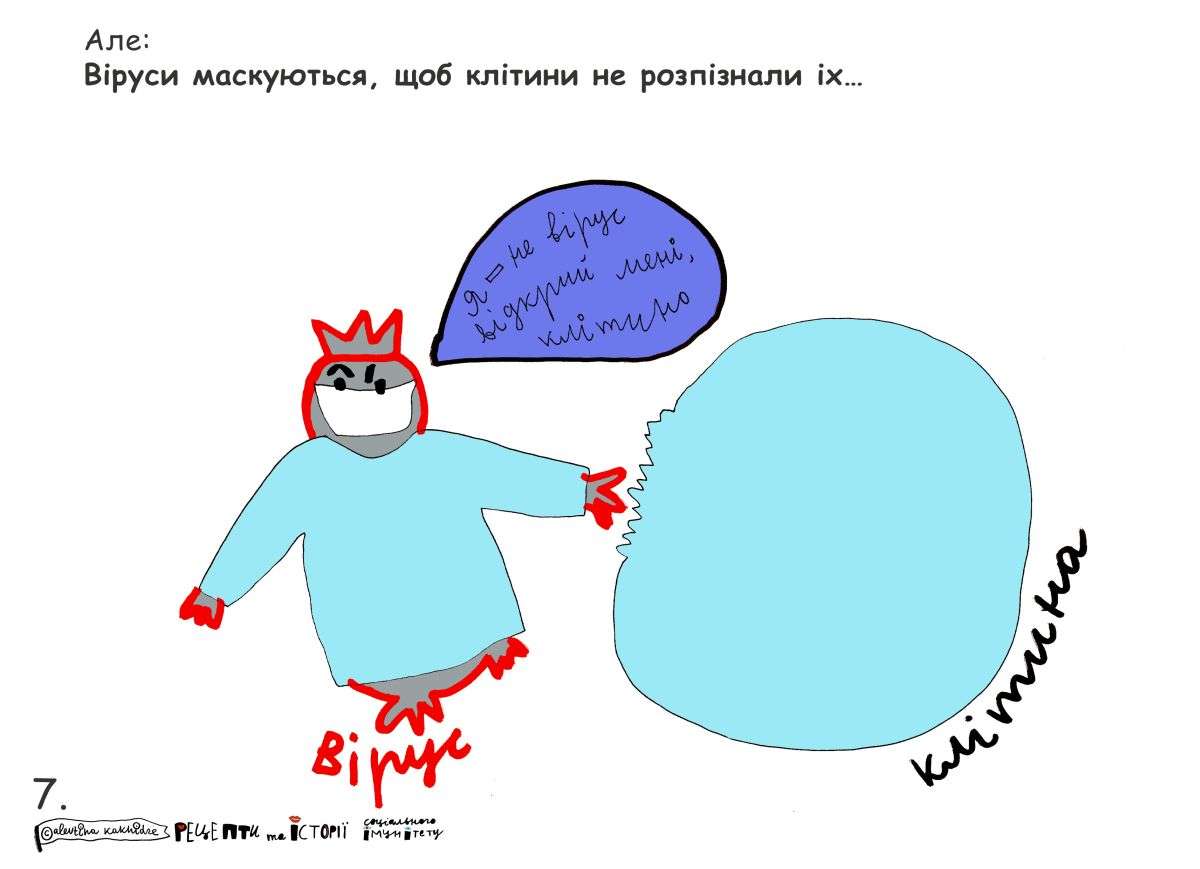 Але: Віруси маскуються, щоб клітини не розпізнали їх…